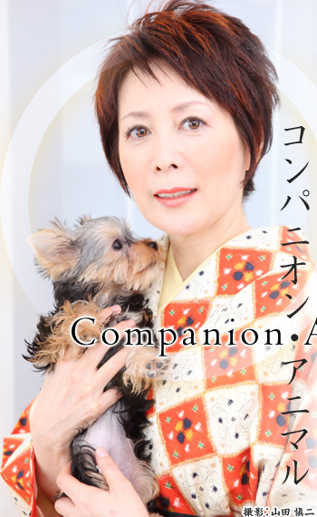 Companion Animal RpjIEAj}